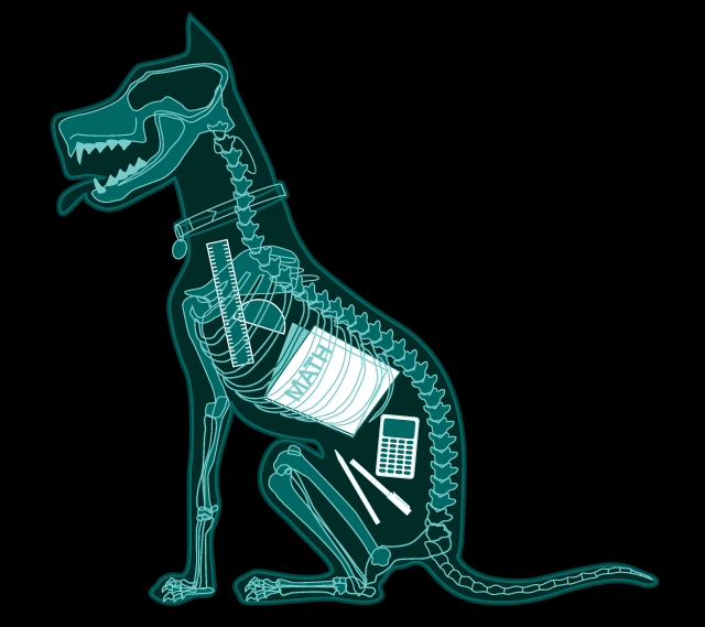 dog xray