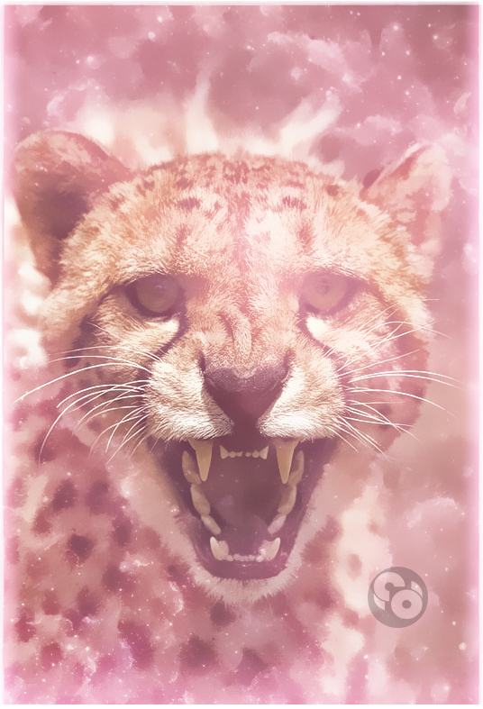 leopard-by-Melvin-Zelissen