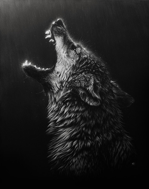 grey wolf art
